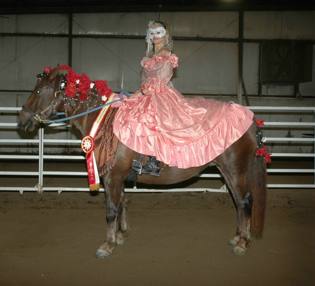 International Friesian Show Horse Association